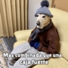 كلاب للدردشة 🐕 (zydfpgxw82)