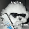 كلاب للدردشة 🐕 (rdkgtc8jmw)