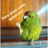 Memes 🤣 (dsbxv4npkz)