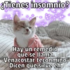 🐱🐾Mishis🐈🐈‍⬛Para Tu Crush💘😻 (t58zpqjmcr)