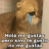 Gatitos SAD 😞 1 (qc6d9pkst3)