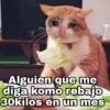 Gatitos SAD 😞 1 (sy7mw4tv9b)