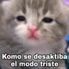 Gatitos SAD 😞 1 (rtmwpj6nbq)
