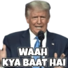 Donald Trump (k7vgy5pxbz)