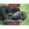 Uga buga (pd598wbfmh)