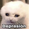 Gatitos SAD 😞 1 (j4nkxg8pfd)