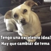 كلاب للدردشة 🐕 (hjt3rs279b)