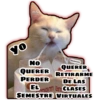 Memes De Dualidades (ry79xpnc28)