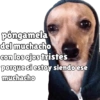 كلاب للدردشة 🐕 (f9dwz47j5h)