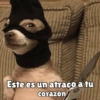 كلاب للدردشة 🐕 (sqh7pj9tc5)