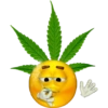 🚬 Emoji fumando (shitpost) (vhmsdq5867)