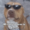 كلاب للدردشة 🐕 (nbtx2w7v9z)