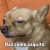كلاب للدردشة 🐕 (svmthgdc37)