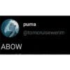 Twitter memes (6nvjgkdc4s)