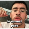 Bad bunny (xhkrsn7f5c)