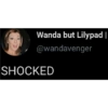 Twitter memes (3t7fmb96g4)