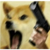 Meme dogs (cf3t9z6q8h)