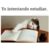 Estudiar (r4d68nj5c7)