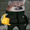 Meme dogs (sqbvk6xr54)