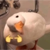 الميمات مضحك (r9kmj2pz5n)