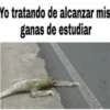 Estudiar (mnw2s7hcb8)