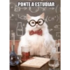 Estudiar (9dzkgsb86p)
