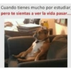 Estudiar (vychqw63kf)
