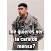 Bad bunny (hxvydm4tkz)