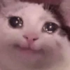 😿😭 Gatos Sad 😭😿 (jwng3k2st8)
