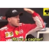 تفاعلات F1 (dcftx2wz7h)