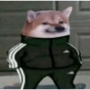 Meme dogs (sjq5hzt4xf)
