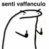 Flork (m59zshdcqr)