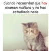 Estudiar (fpzvmkg9n7)
