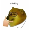 Meme dogs (fsw9cg4mv3)
