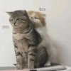 You and me