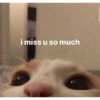 Miss you