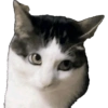 حيوانات الهالوين 🎃 (9r6xjwv3hd)