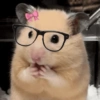 الهامستر 🐹 (yz5xs8rqm2)