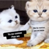 🤣Memes Random 3😄 (trs9zjqnxy)