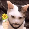 Flower man