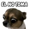 🐕🐶Perrito sin palabras 😬🙁 (kfvzpb8xrg)