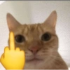 Rude finger