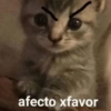 🥭 Gatitos Shitposting 1 😼🥭 (b4y6v7dpz2)