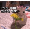 SÓ LOV💓💗💖💘 (dzjxfg79c6)