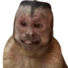 George (jh9zrps5yx)