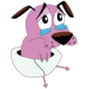 كلب وردي يبكي