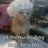 🥭 Gatitos Shitposting 1 😼🥭 (8dmwkzcyth)