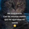 🥭 Gatitos Shitposting 1 😼🥭 (m8tsqxfh5y)
