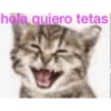 Frases de Gatos  (kyc3z7srv6)