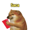 Memes de cheems #16 (3fgyrthbx9)